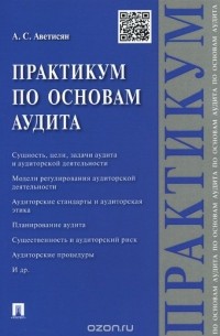 Практикум по основам аудита. Учебное пособие