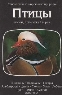 Птицы морей, побережий и рек