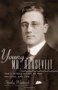 Стэнли Вайнтрауб - Young Mr. Roosevelt: FDR's Introduction to War, Politics, and Life
