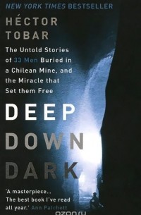 Deep Down Dark: The Untold Stories of 33 Men Buried in a Chilean Mine, and the Miracle That Set Them Free