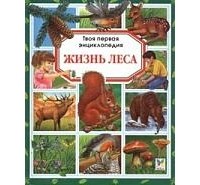  - Жизнь леса