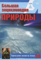 Ю. Ю. Чудина - Большая энциклопедия природы. Зарождение жизни на Земле.