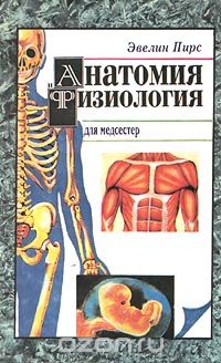  - Анатомия и физиология для медсестер