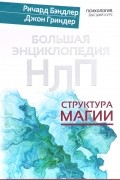Большая энциклопедия НЛП. Структура магии