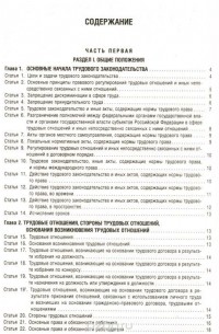 Т. Дегтярева - Трудовой кодекс Российской Федерации