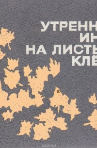 Утренний иней на листьях клена