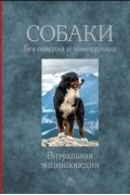 Собаки. Без поводка и намордника