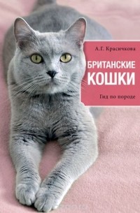 Британские кошки. Гид по породе