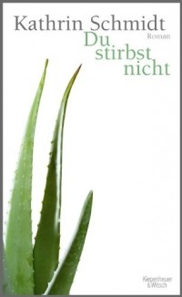 Kathrin Schmidt - Du stirbst nicht