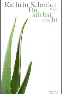Kathrin Schmidt - Du stirbst nicht
