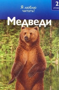 Дениз Райан - Медведи
