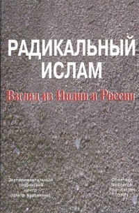 Кургинян С.Е. - Радикальный ислам. Взгляд из Индии и России