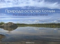 Алексей Коткин - Природа острова Котлин