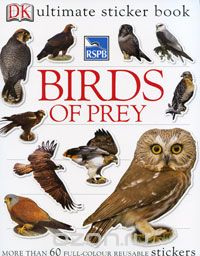 Бен Хоар - Birds of Prey