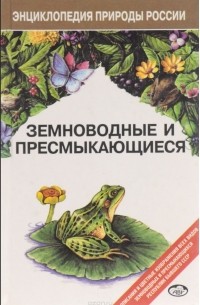 Земноводные и пресмыкающиеся