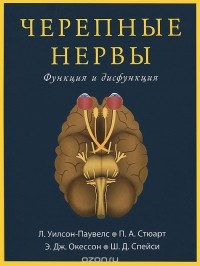  - Черепные нервы. Функция и дисфункция