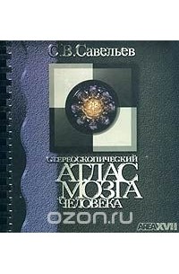 Стереоскопический атлас мозга человека