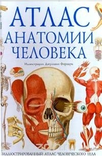 Стив Паркер - Атлас анатомии человека