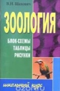 Владимир Шахович - Зоология. Блок-схемы, таблицы, рисунки. Учебное пособие