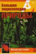 Сергей Бердышев - Большая энциклопедия природы. Жизнь растений. Водоросли. Лишайники. Мхи
