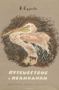 Путешествие к пеликанам