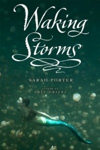 Сара Портер - Waking Storms
