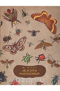 Жан-Анри Фабр - Жизнь насекомых