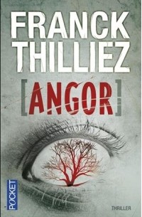 Franck Thilliez - Angor