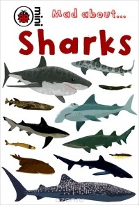 Deborah Murrell - Mad about... Sharks