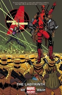 Secret Avengers Volume 2: The Labyrinth