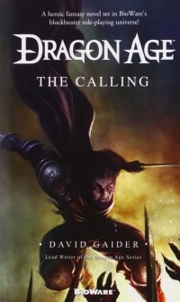 David Gaider - Dragon Age: The Calling