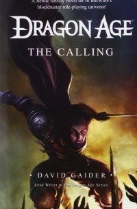 David Gaider - Dragon Age: The Calling