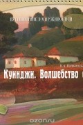 Валентина Панжинская-Откидач - А. И. Куинджи. Волшебство света