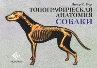 Питер К. Гуди - Топографическая анатомия собаки