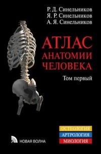  - Атлас анатомии человека. В 4 томах. Том 1. Учение о костях, соединении костей и мышцах