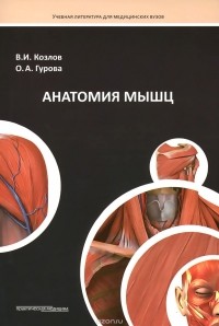  - Анатомия мышц. Учебное пособие