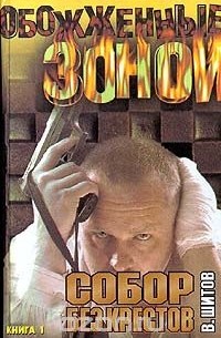 Владимир Шитов - Собор без крестов. Книга 1