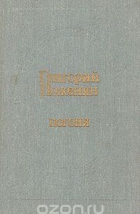 Погоня