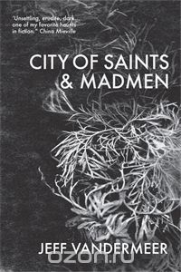 Jeff Vandermeer - City of Saints and Madmen