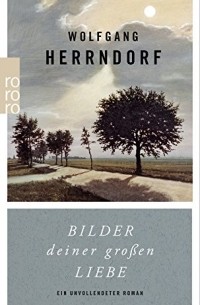 Wolfgang Herrndorf - Bilder deiner großen Liebe