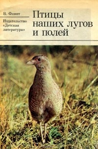 Владимир Флинт - Птицы наших лугов и полей