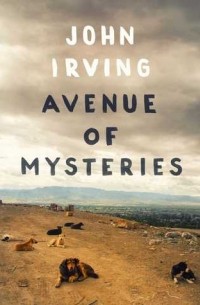John Irving - Avenue of Mysteries