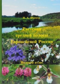 Иван Шанцер - Растения средней полосы Европейской России. Полевой атлас