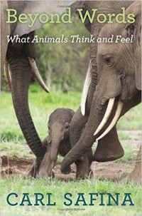 Carl Safina - Beyond Words: What Animals Think and Feel