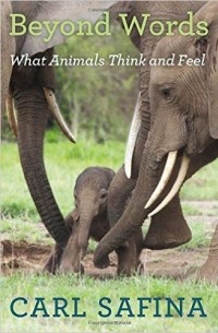 Carl Safina - Beyond Words: What Animals Think and Feel