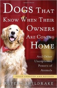 Rupert Sheldrake - Dogs That Know When Their Owners Are Coming Home