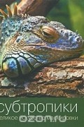  - Субтропики. Великое искусство маскировки