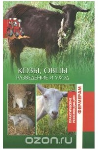 Козы, овцы. Разведение и уход