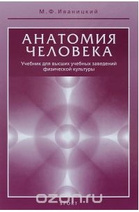 Михаил Иваницкий - Анатомия человека. Учебник