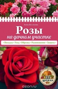 Анна Белякова - Розы на дачном участке
